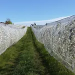 Farmház La Morina *