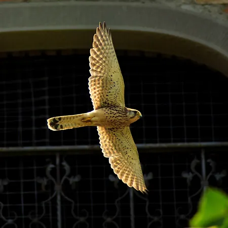 La Morina Κατάλυμα σε φάρμα *