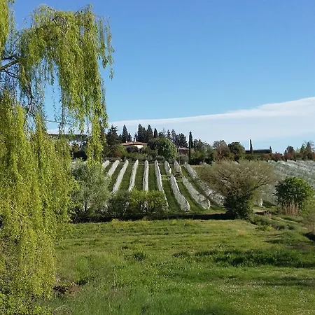 La Morina * Κορτόνα