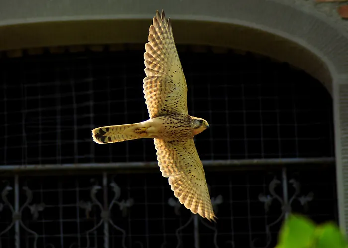 La Morina Фермерский дом *