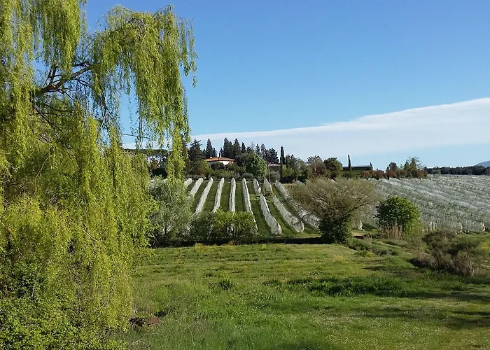 La Morina * Кортона