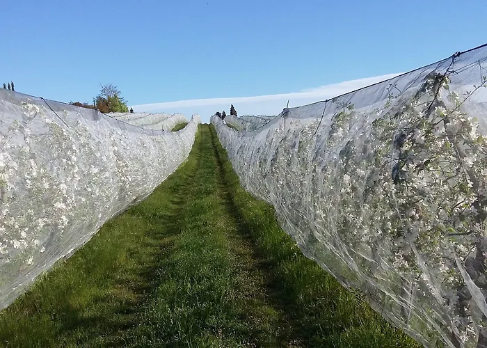 Фермерский дом La Morina *