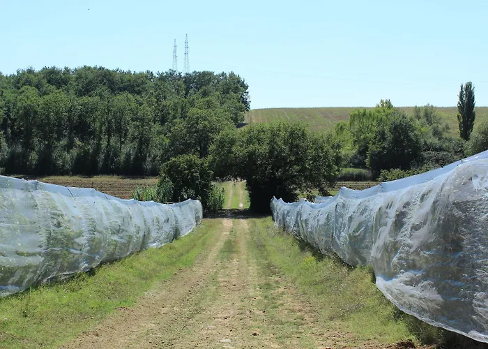 La Morina * Кортона